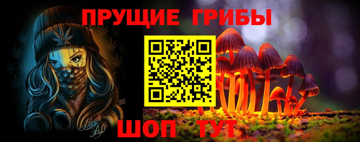 Галлюциногенные грибы мицелий  Вход с VPN  купить  цена  Малгобек 