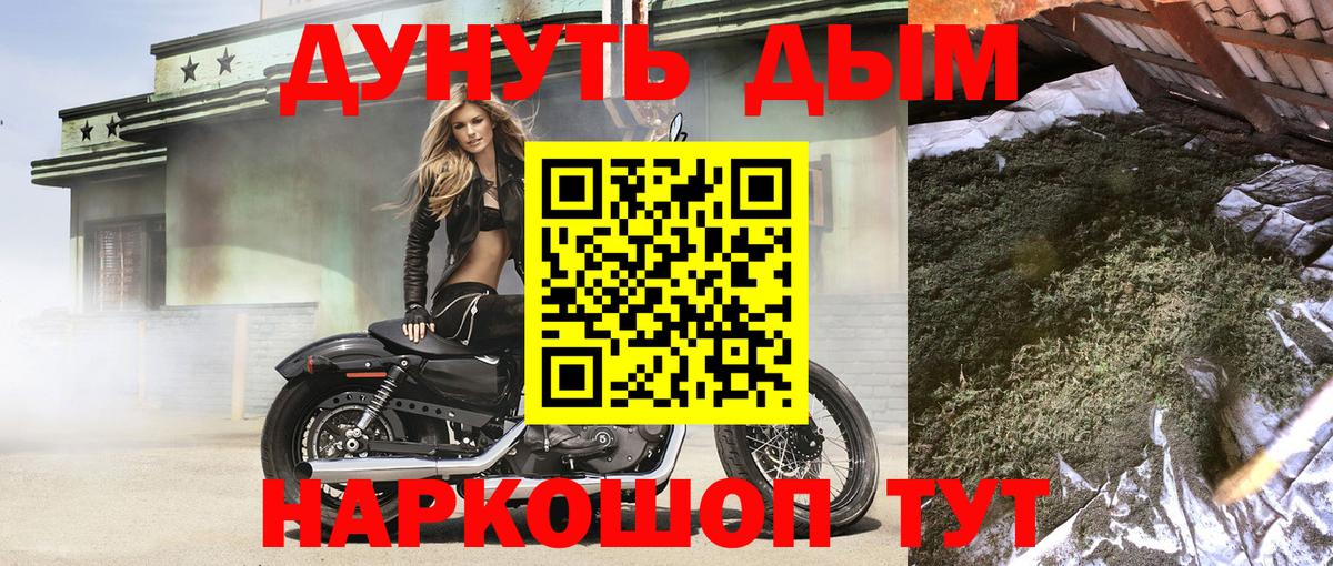 Конопля сатива Малгобек